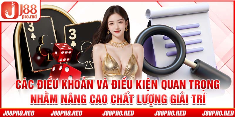 Các điều khoản và điều kiện quan trọng nhằm nâng cao chất lượng giải trí